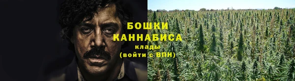 тгк Каменск-Шахтинский