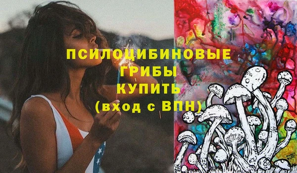 меф Каменногорск