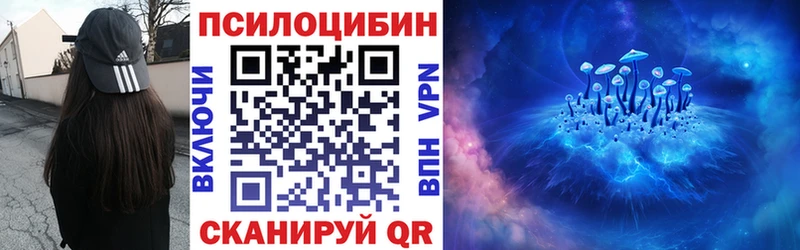 Купить  Дрезна  Псилоцибиновые грибы Psilocybe 