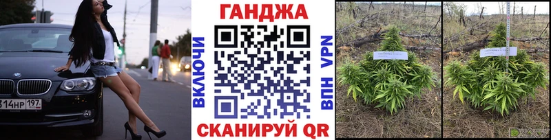 Бошки Шишки план  Купить закладки  Дрезна 